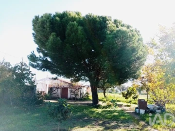 Terreno para Venda em Pedrogão