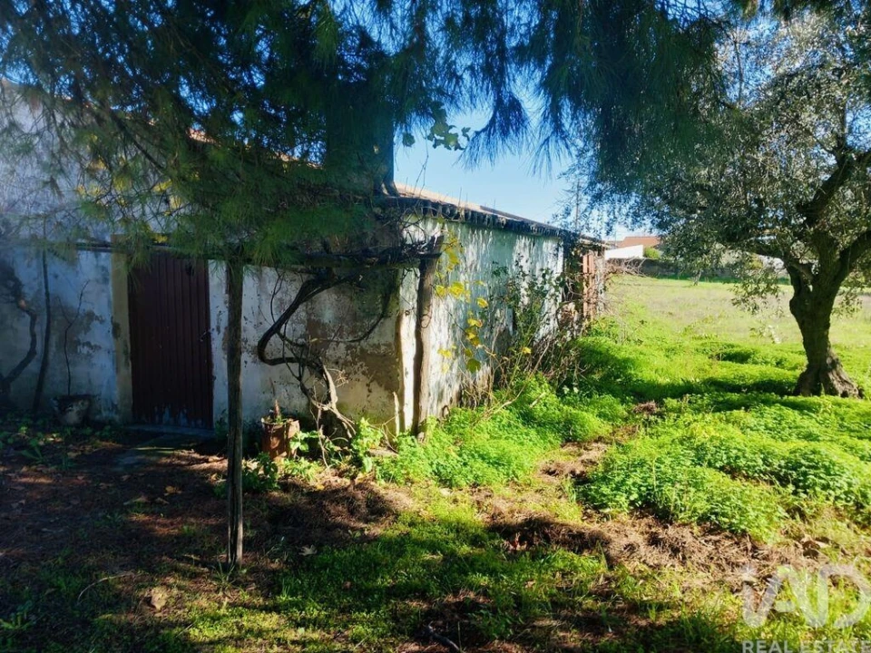 Terreno para Venda em Pedrogão Foto 9