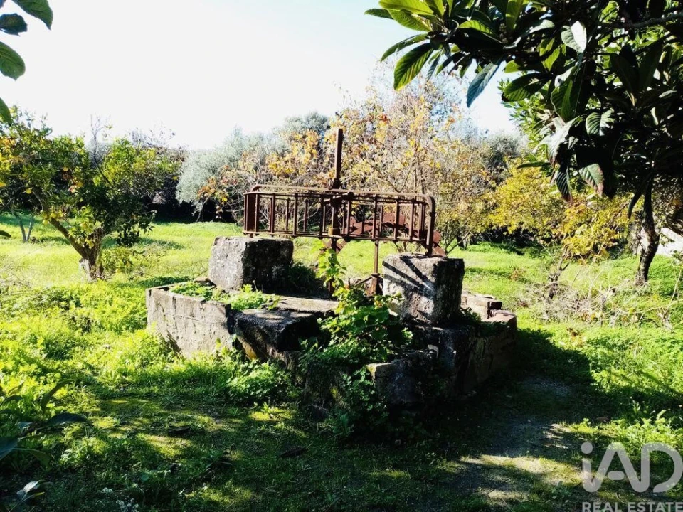 Terreno para Venda em Pedrogão Foto 3