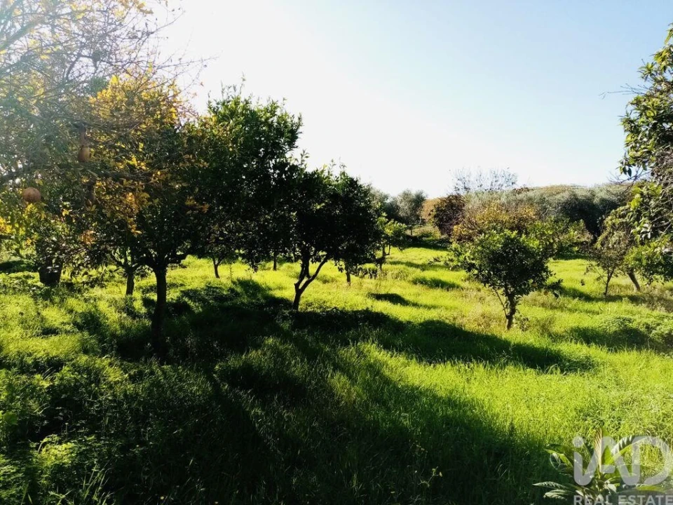 Terreno para Venda em Pedrogão Foto 5