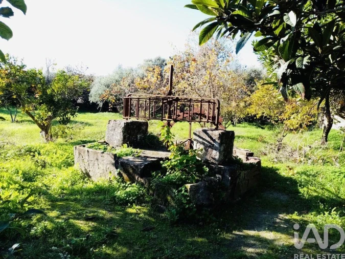 Terreno para Venda em Pedrogão Foto 3