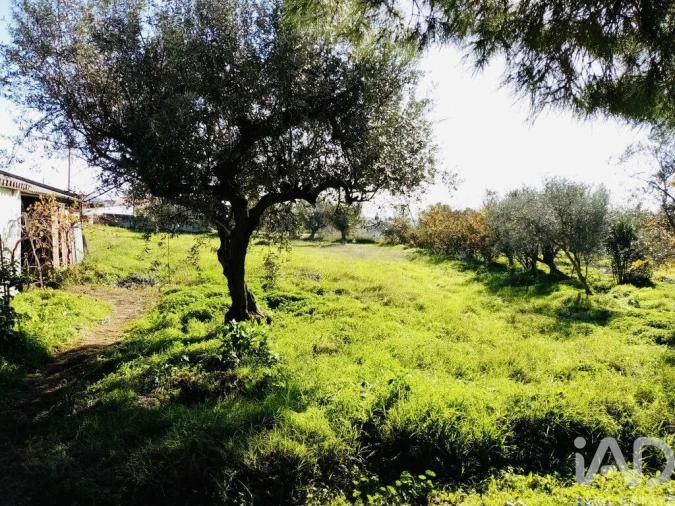 Terreno para Venda em Pedrogão Foto 4