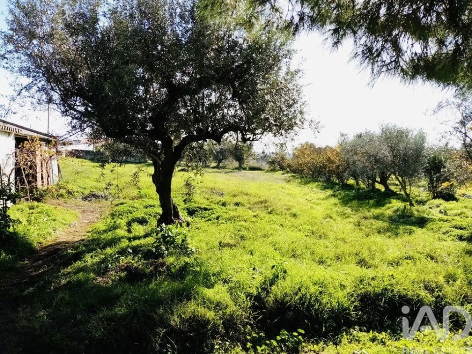 Terreno para Venda em Pedrogão Foto 4