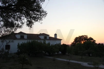 Moradia T6 para Venda em Chamusca e Pinheiro Grande