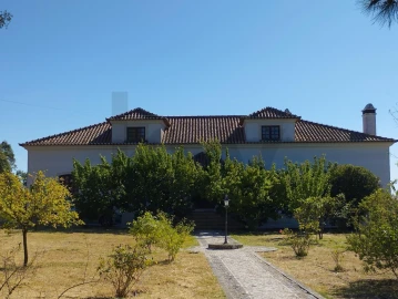 Moradia T6 para Venda em Chamusca e Pinheiro Grande