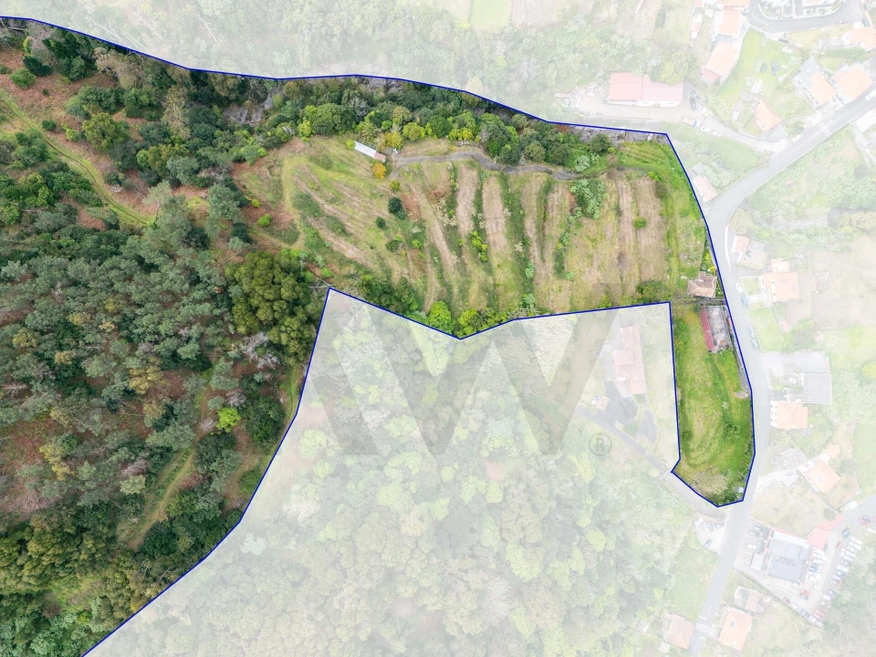 Terreno para Venda em São Vicente Foto 3