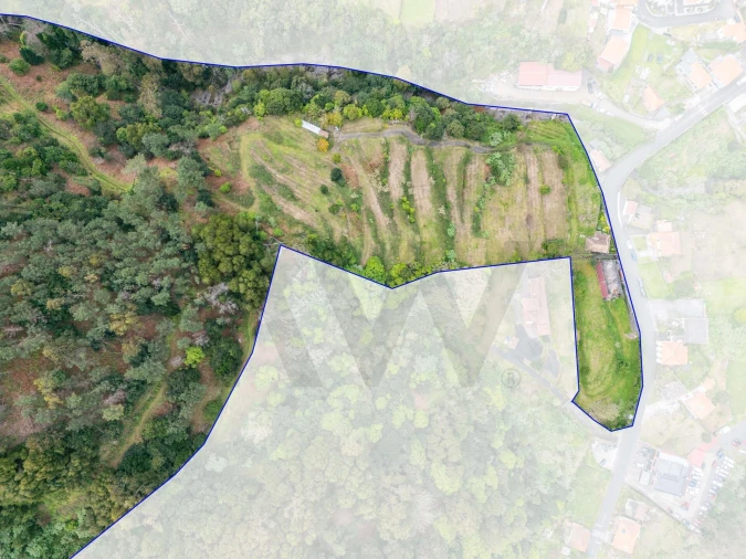 Terreno para Venda em São Vicente Foto 3