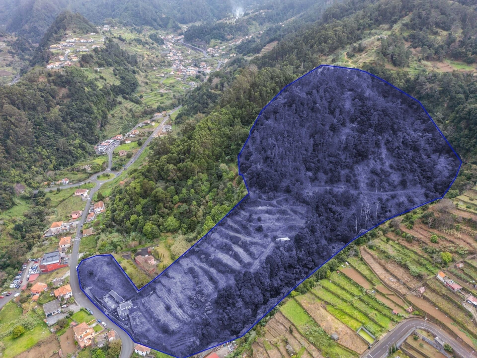 Terreno para Venda em São Vicente Foto 6