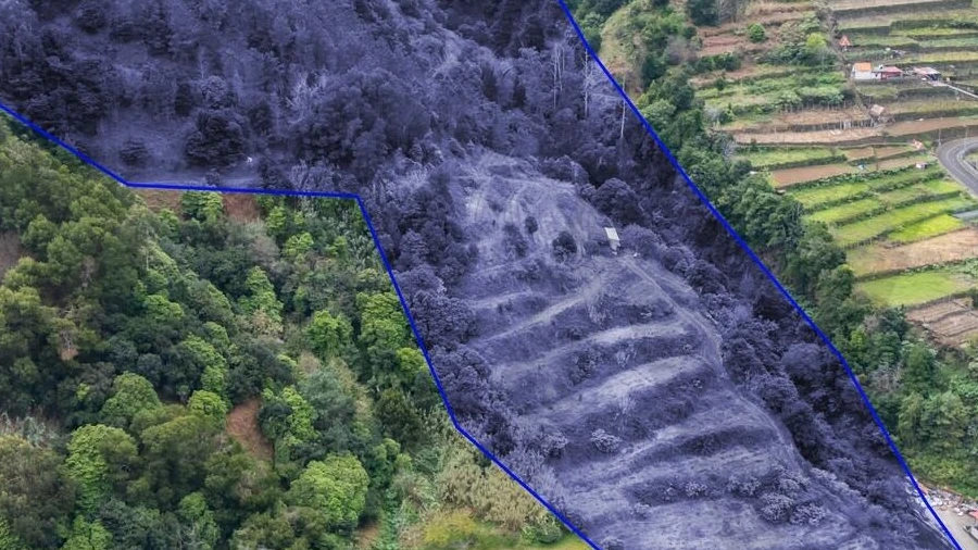 Terreno para Venda em São Vicente