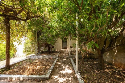 Moradia T4 para Venda em Eiras e São Paulo de Frades