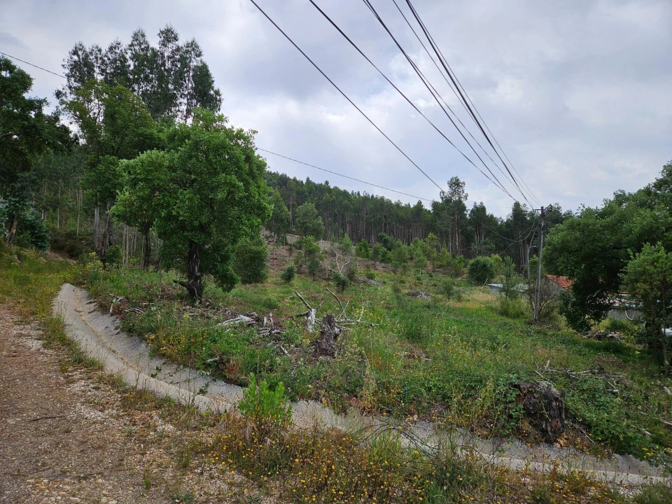 Moradia T3 para Venda em Figueiró dos Vinhos e Bairradas Foto 53