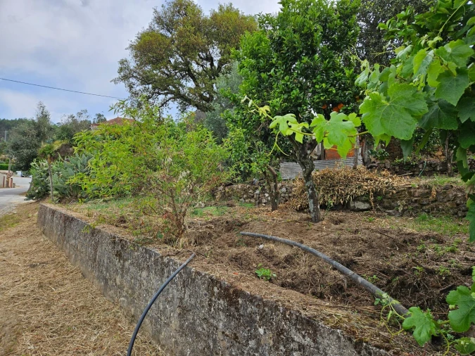 Moradia T3 para Venda em Figueiró dos Vinhos e Bairradas Foto 36