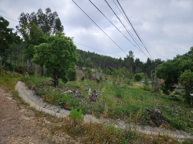 Moradia T3 para Venda em Figueiró dos Vinhos e Bairradas Foto 53
