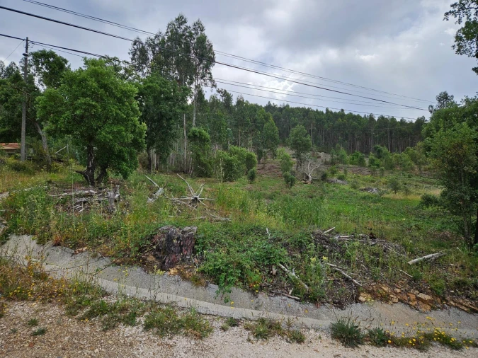 Moradia T3 para Venda em Figueiró dos Vinhos e Bairradas Foto 52