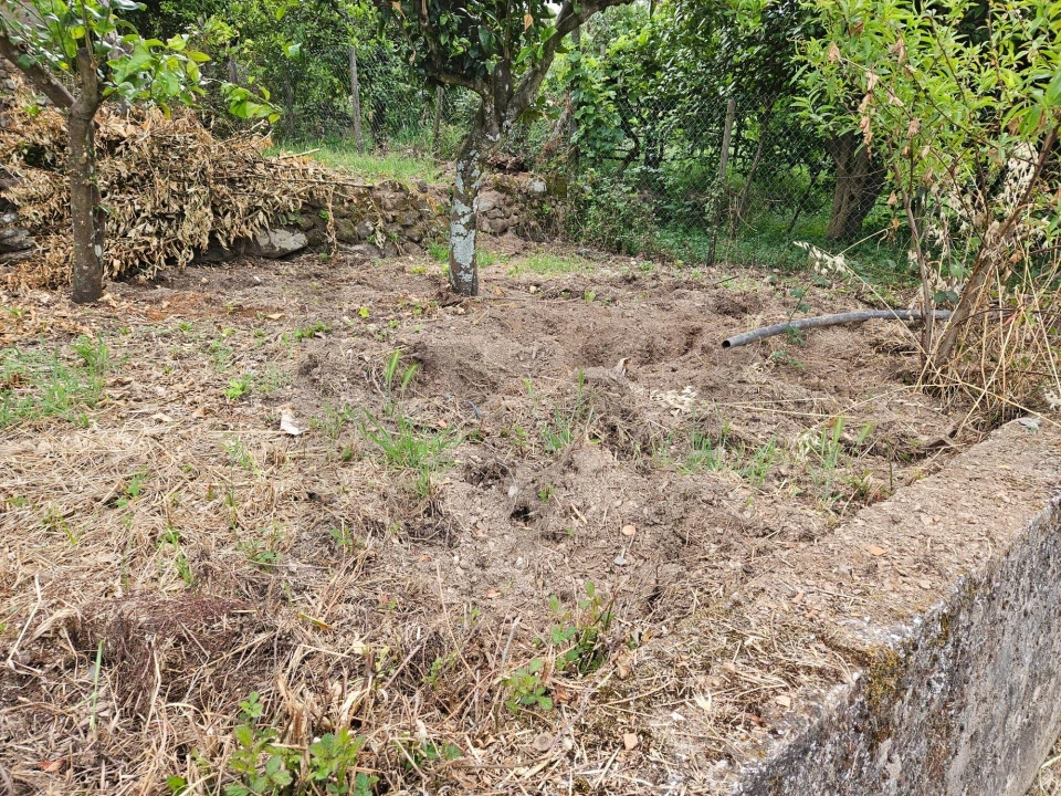 Moradia T3 para Venda em Figueiró dos Vinhos e Bairradas Foto 37