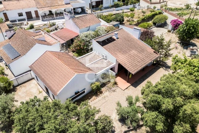 Quinta T4 para Venda em Mora
