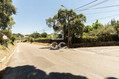 Quinta T4 para Venda em Mora