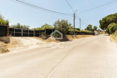 Quinta T4 para Venda em Mora