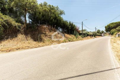 Quinta T4 para Venda em Mora