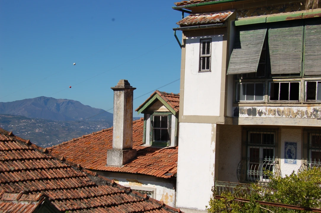 Quinta T11 para Venda em Fontelo Foto 48