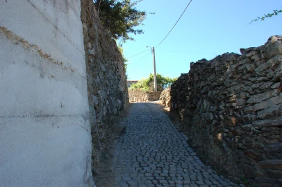 Quinta T11 para Venda em Fontelo