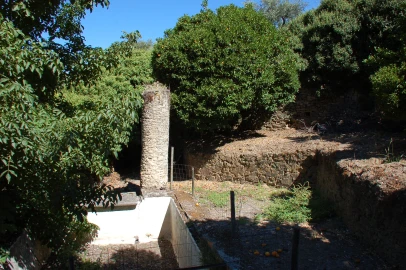 Quinta T11 para Venda em Fontelo