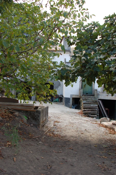 Quinta T11 para Venda em Fontelo