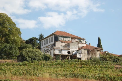 Quinta T11 para Venda em Fontelo