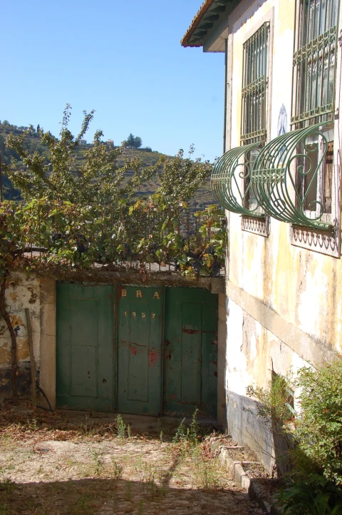Quinta T11 para Venda em Fontelo