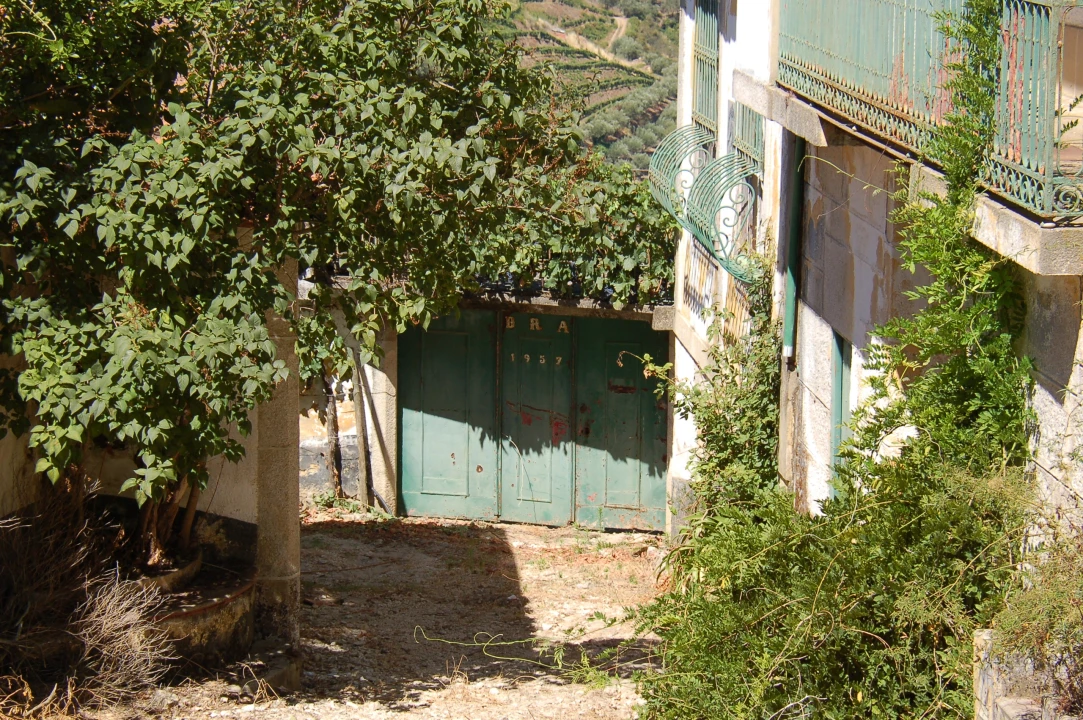 Quinta T11 para Venda em Fontelo Foto 160