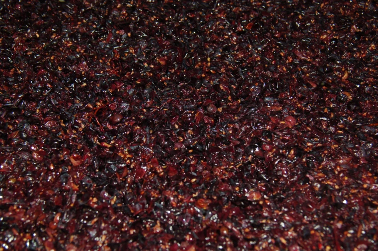 Quinta T11 para Venda em Fontelo Foto 42