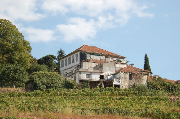 Quinta T11 para Venda em Fontelo Foto 96