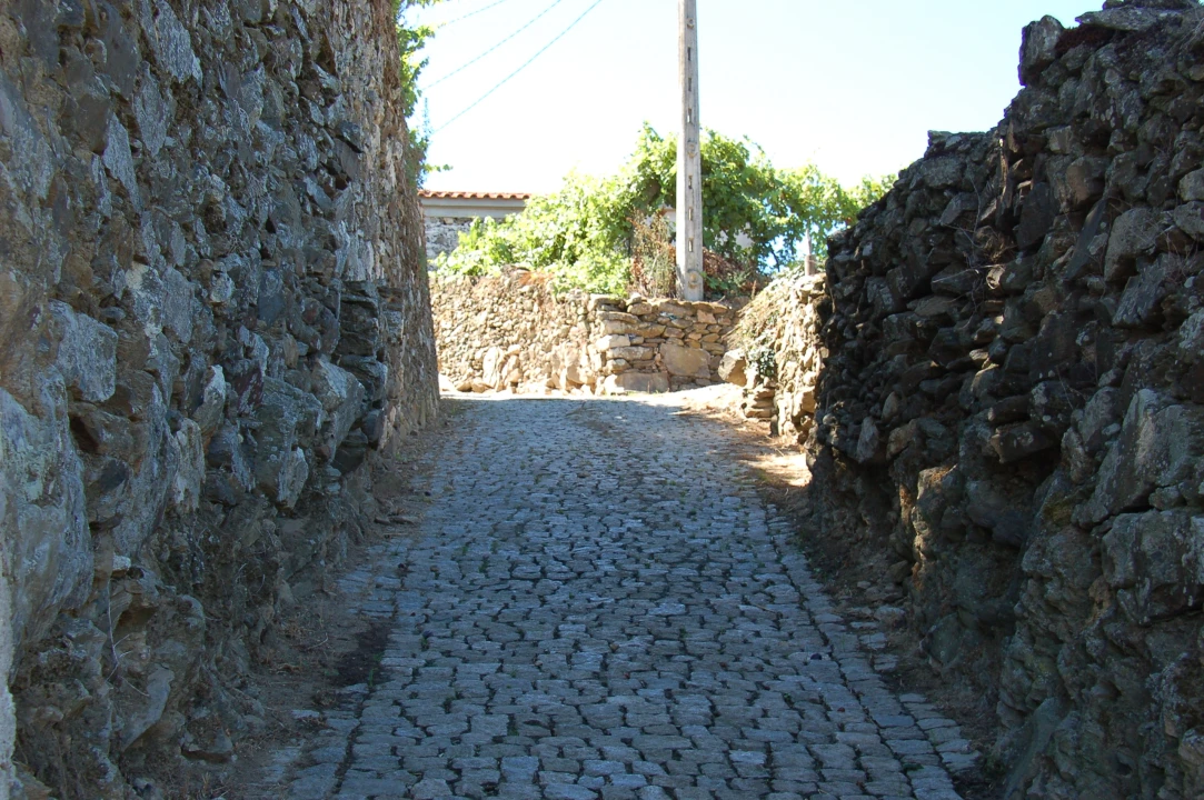 Quinta T11 para Venda em Fontelo Foto 157