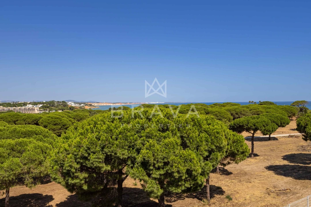 Moradia T3 para Venda em Albufeira e Olhos de Água Foto 47