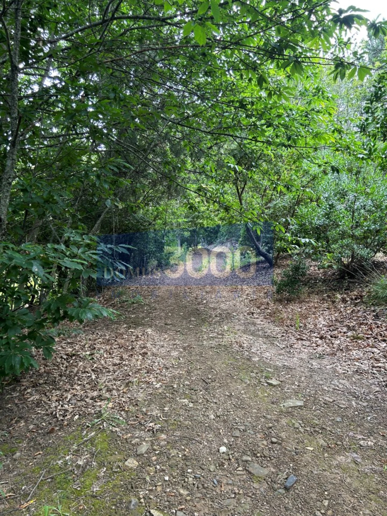 Terreno para Venda em Loureiro Foto 5