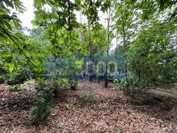 Terreno para Venda em Loureiro