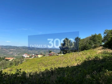 Terreno para Venda em Loureiro
