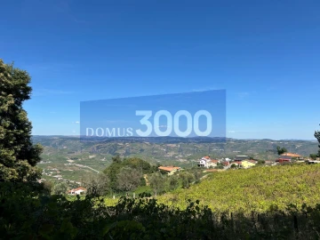 Terreno para Venda em Loureiro