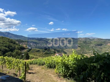 Terreno para Venda em Loureiro