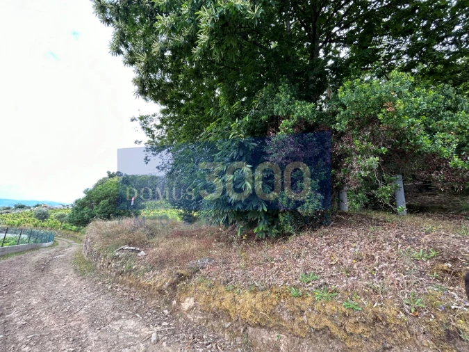 Terreno para Venda em Loureiro Foto 3