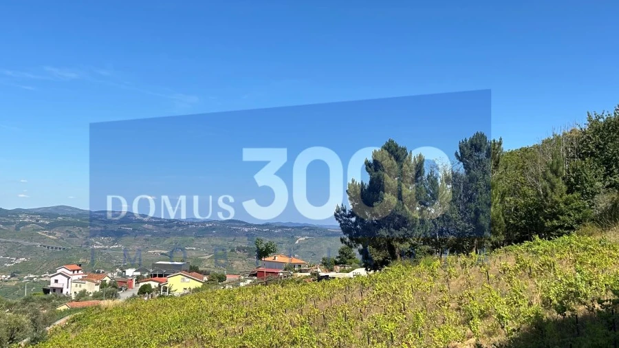 Terreno para Venda em Loureiro