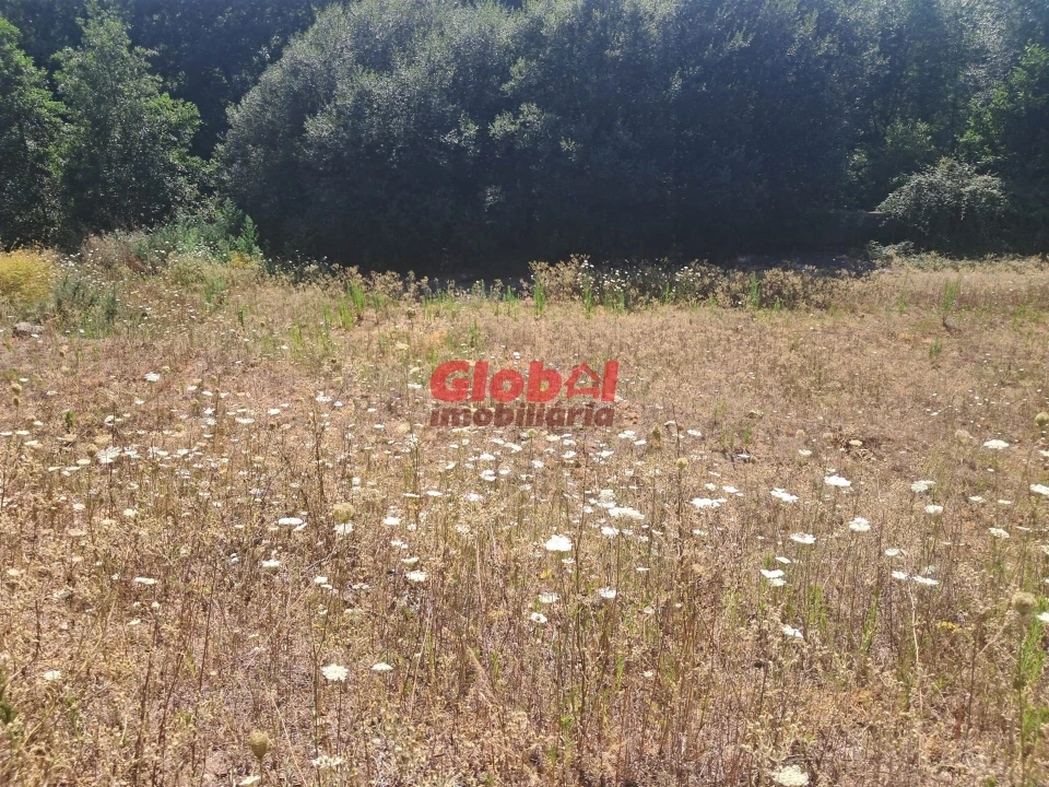 Terreno para Venda em Satão Foto 7