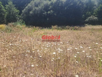Terreno para Venda em Satão