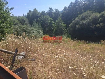 Terreno para Venda em Satão
