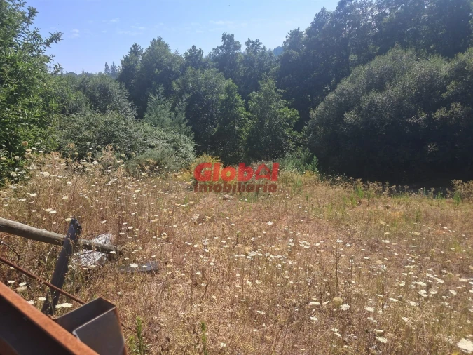 Terreno para Venda em Satão Foto 6