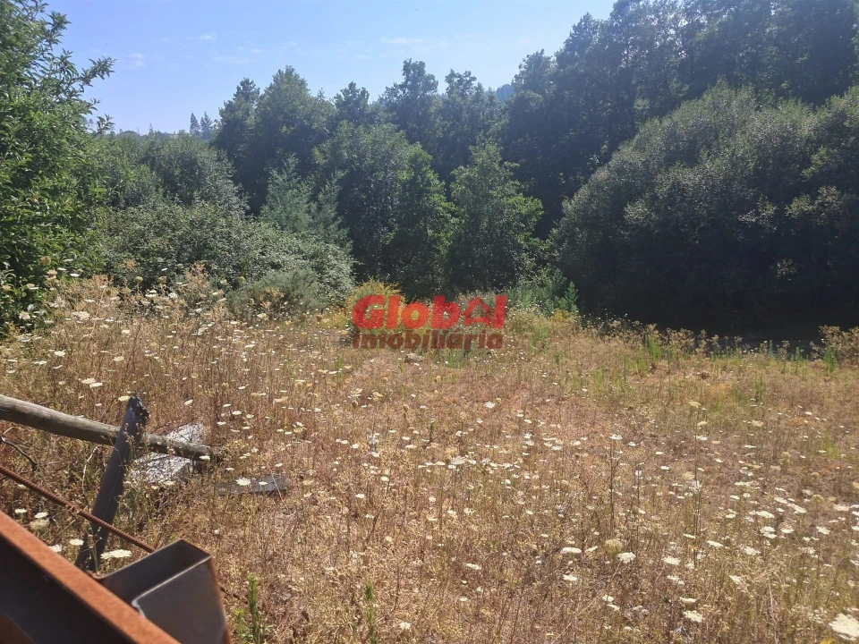 Terreno para Venda em Satão Foto 6