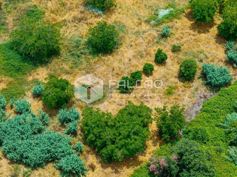 Moradia T3 para Venda em Azambujeira e Malaqueijo Foto 4