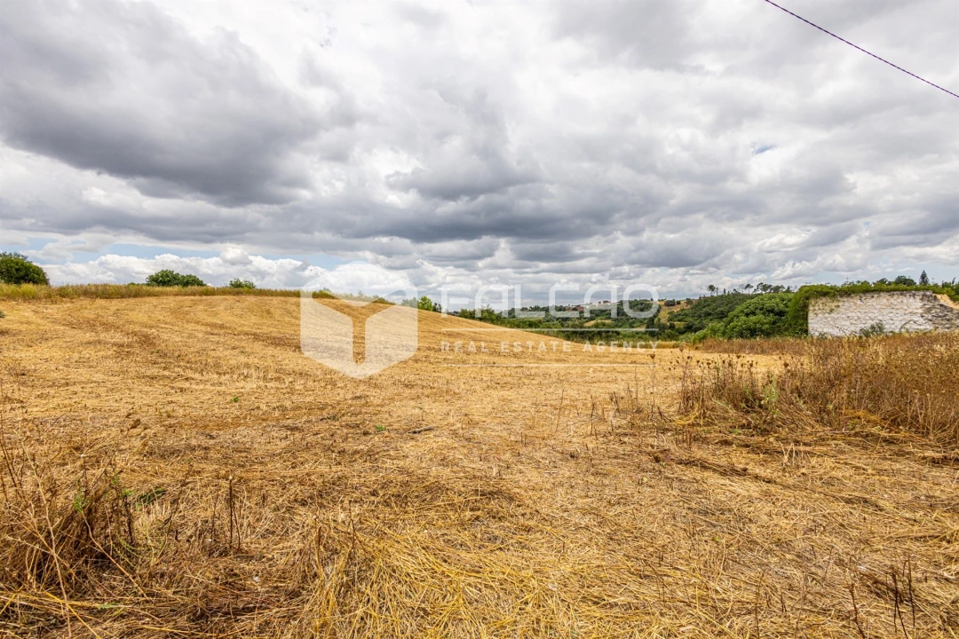 Moradia T3 para Venda em Azambujeira e Malaqueijo Foto 25