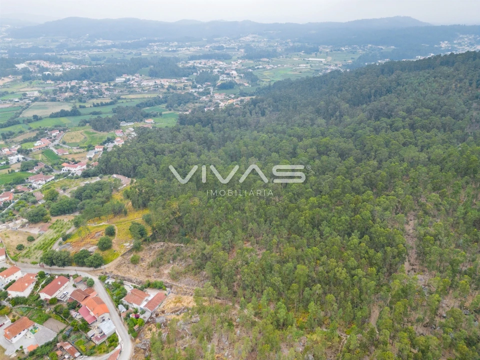 Terreno para Venda em Roriz Foto 5