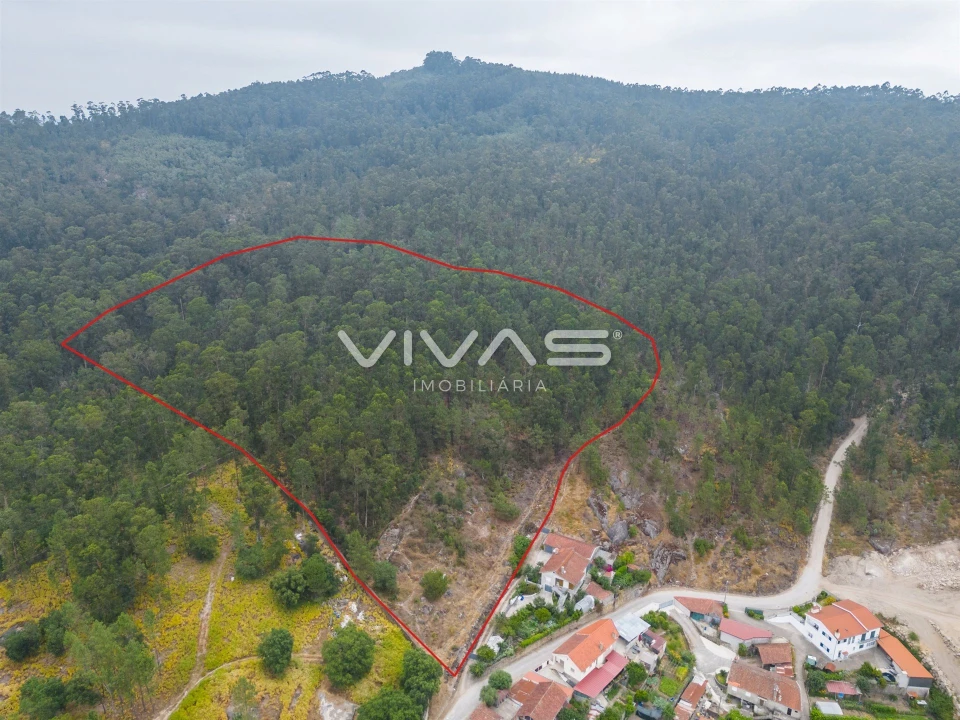 Terreno para Venda em Roriz Foto 14